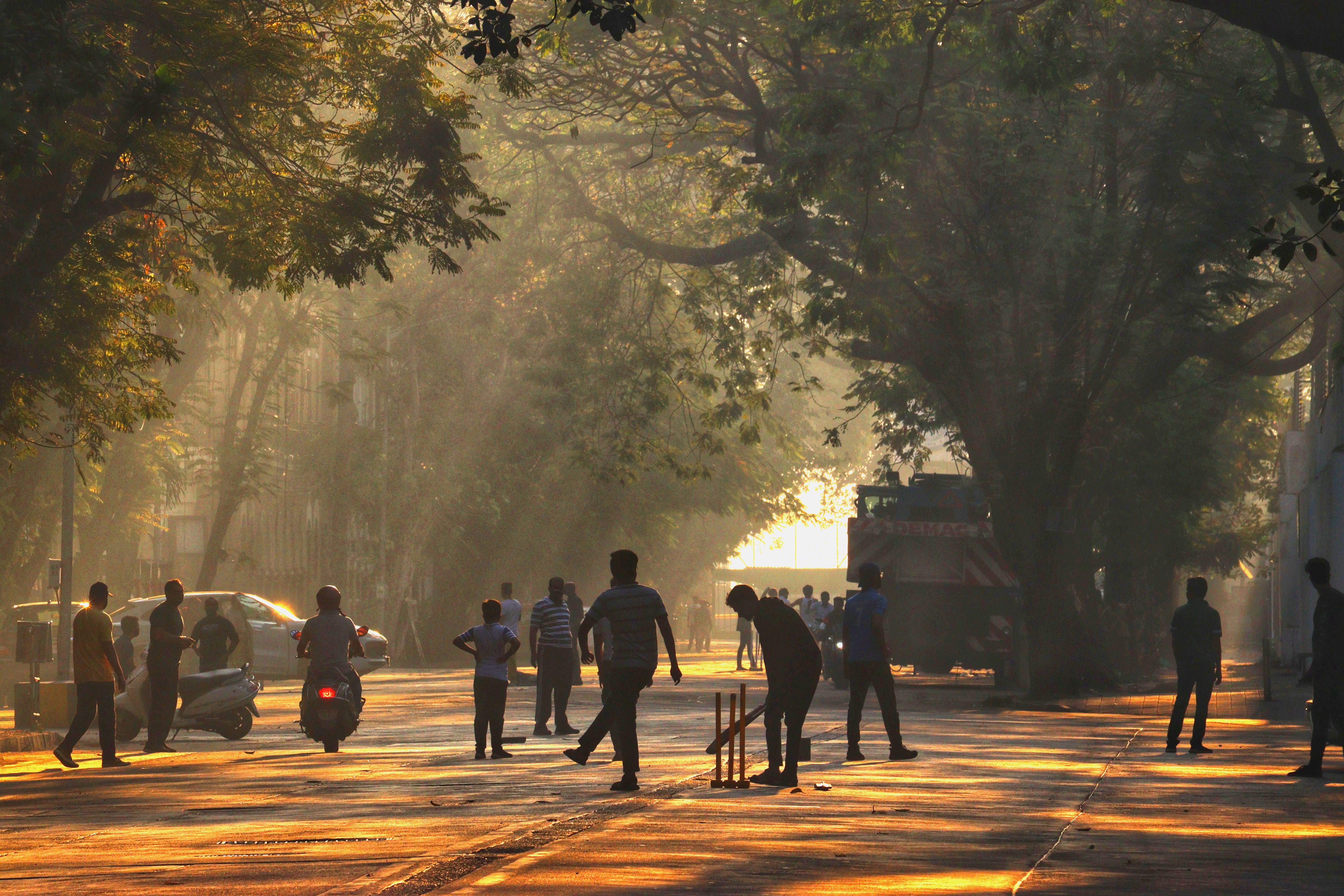 Cricket travel — India